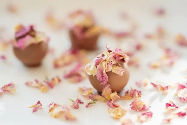 Pedalada10 Casino Android/iOS aplikacija